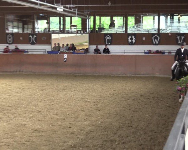 Reitturnier Leichlingen 2024