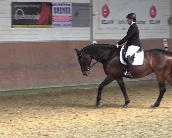 Reitturnier Leichlingen 2024