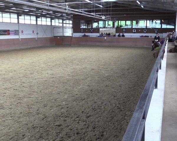 Reitturnier Leichlingen 2024