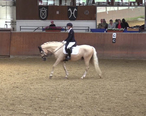 Reitturnier Leichlingen 2024
