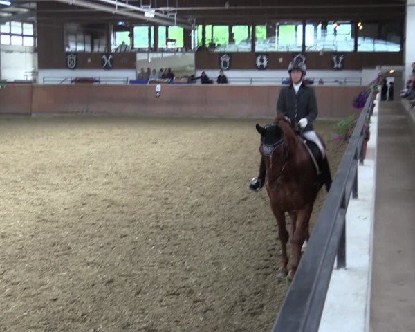 Reitturnier Leichlingen 2024