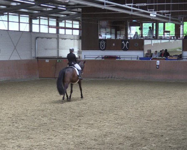 Reitturnier Leichlingen 2024