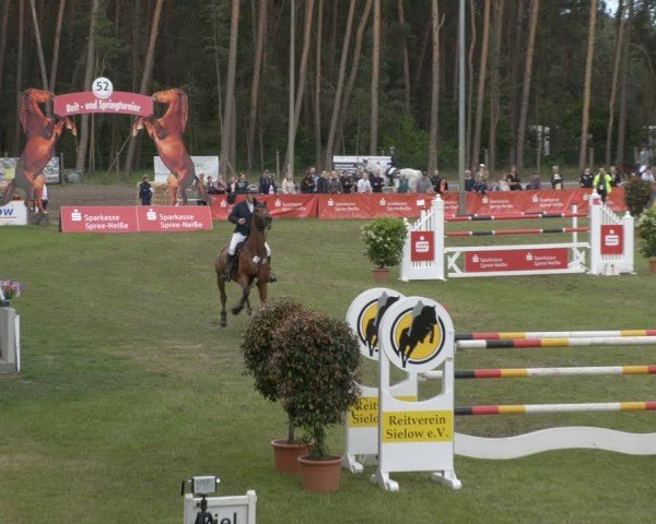 Reitturnier Cottbus-Sielow 2024
