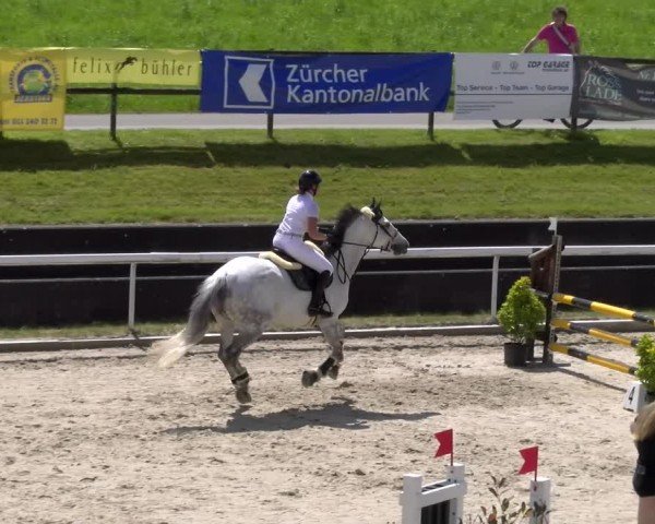 Reitturnier Rüti 2024