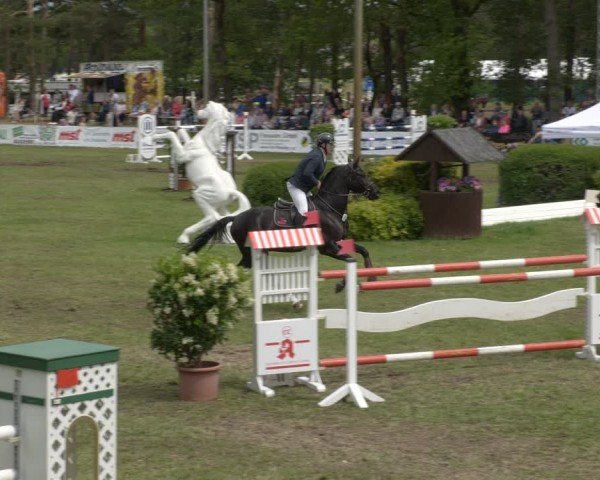 Reitturnier Cottbus-Sielow 2024