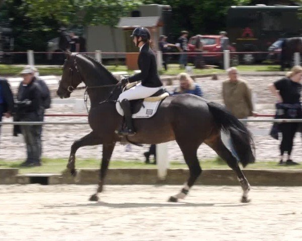 Reitturnier Forst 2024