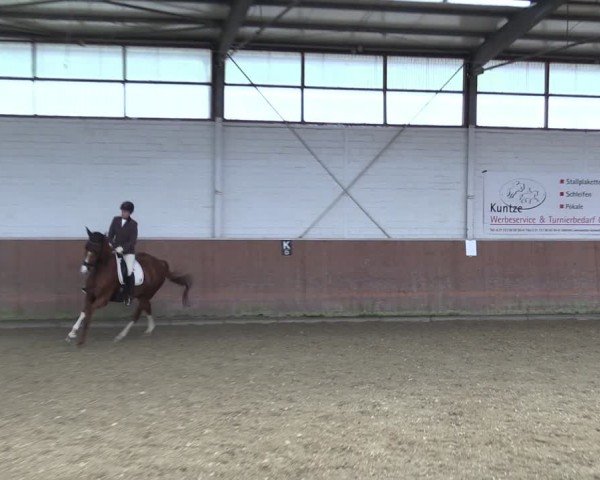 Reitturnier Leichlingen 2024