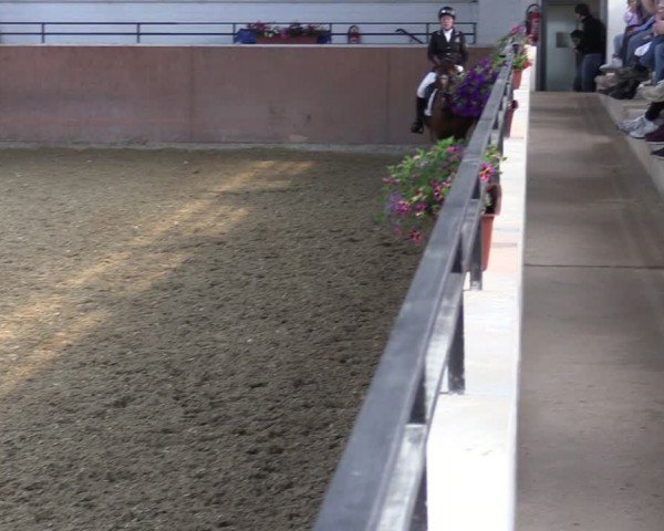 Reitturnier Leichlingen 2024