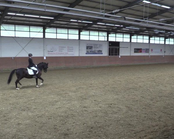 Reitturnier Leichlingen 2024