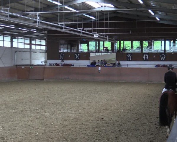 Reitturnier Leichlingen 2024