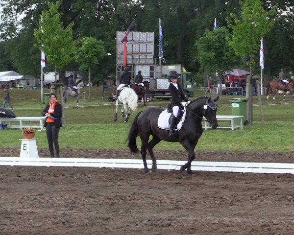 Reitturnier Blüthen 2024
