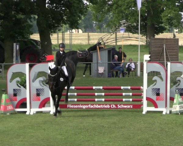 Reitturnier Blüthen 2024