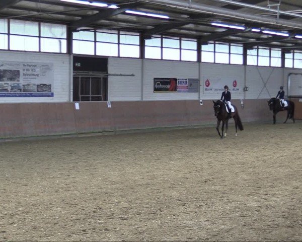 Reitturnier Leichlingen 2024