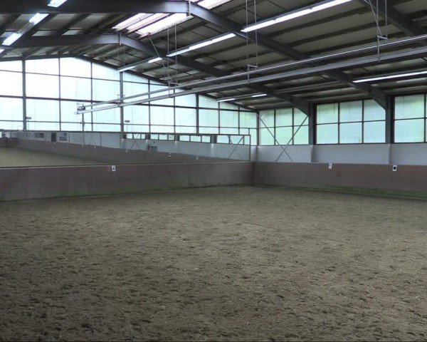 Reitturnier Leichlingen 2024