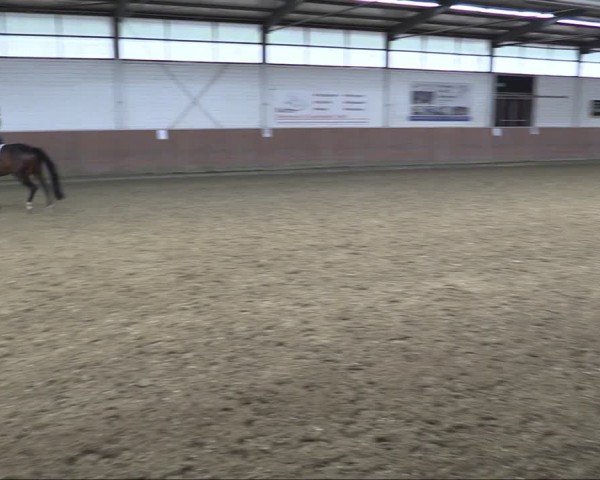 Reitturnier Leichlingen 2024