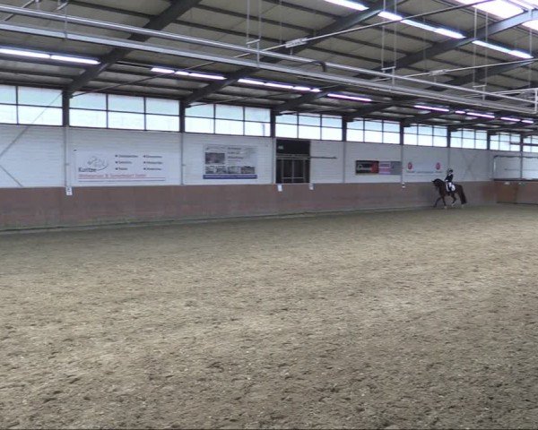 Reitturnier Leichlingen 2024