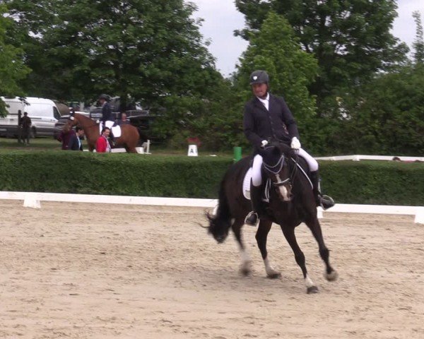 Reitturnier Westeregeln 2024