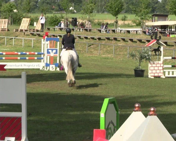 Reitturnier Blüthen 2024