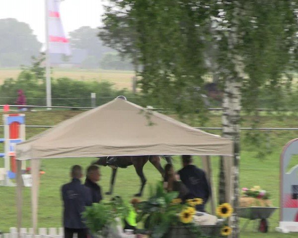 Reitturnier Blüthen 2024