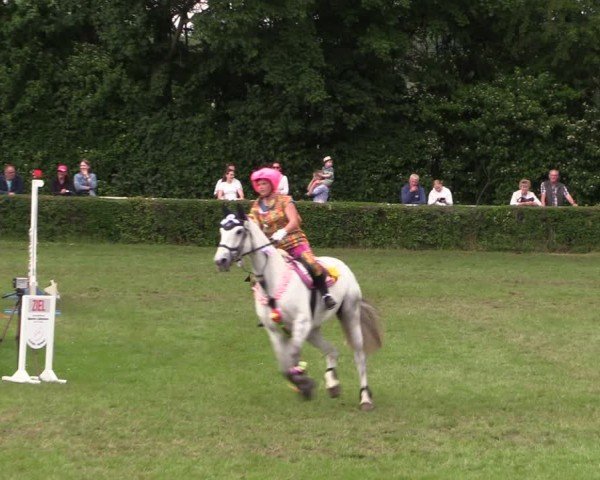 Reitturnier Westeregeln 2024
