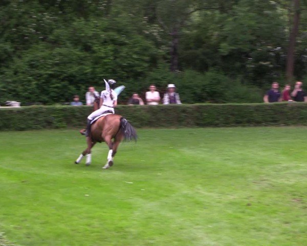 Reitturnier Westeregeln 2024