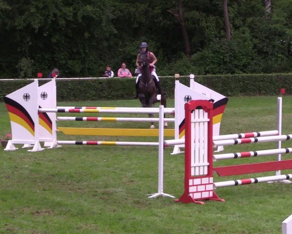 Reitturnier Westeregeln 2024