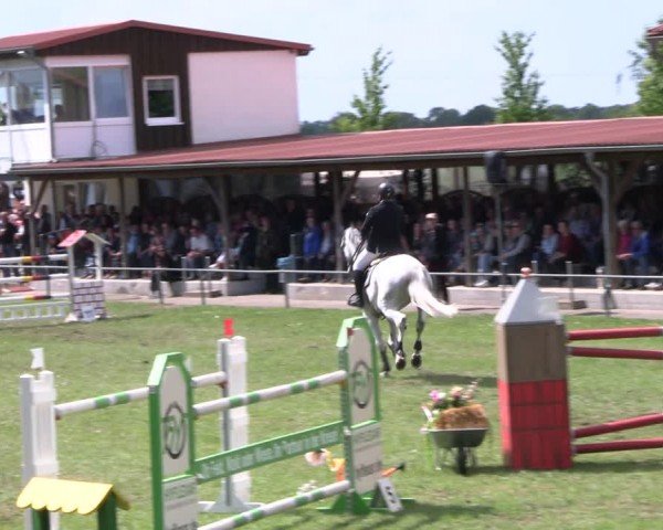Reitturnier Blüthen 2024