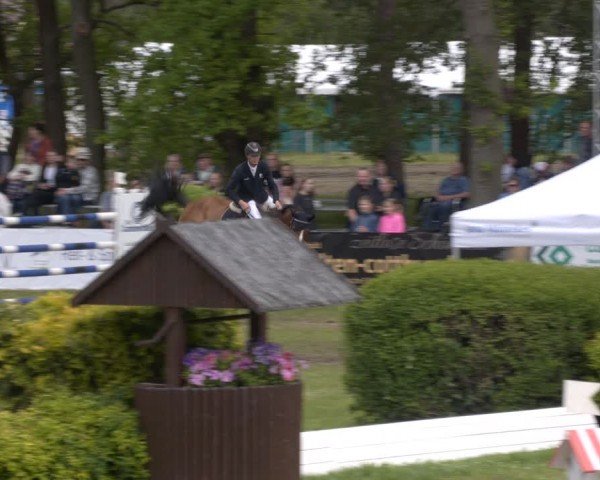 Reitturnier Cottbus-Sielow 2024