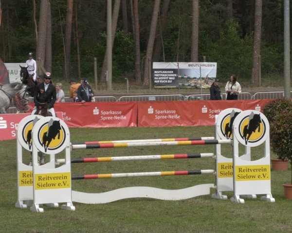 Reitturnier Cottbus-Sielow 2024