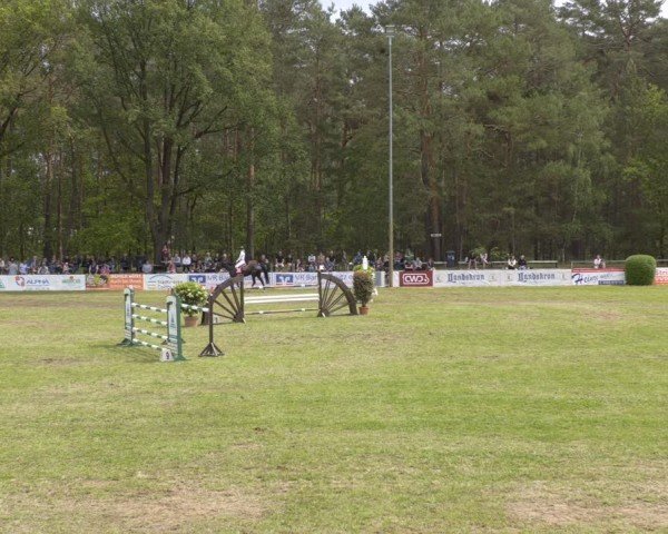 Reitturnier Cottbus-Sielow 2024