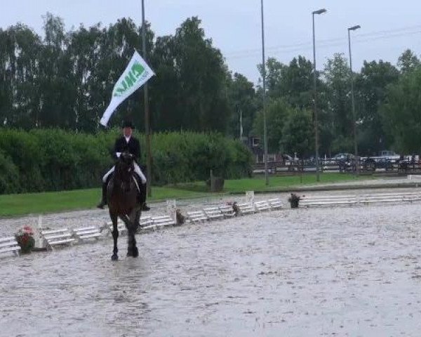 Reit- und Springturnier Münster-Roxel 2012