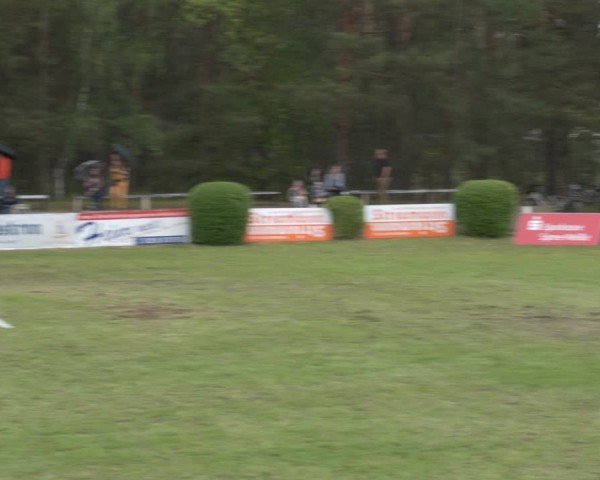 Reitturnier Cottbus-Sielow 2024