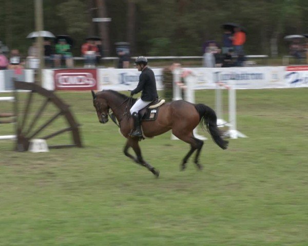 Reitturnier Cottbus-Sielow 2024