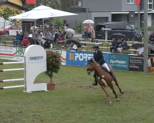 Reitturnier Cottbus-Sielow 2024