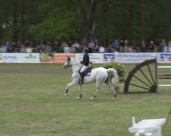 Reitturnier Cottbus-Sielow 2024