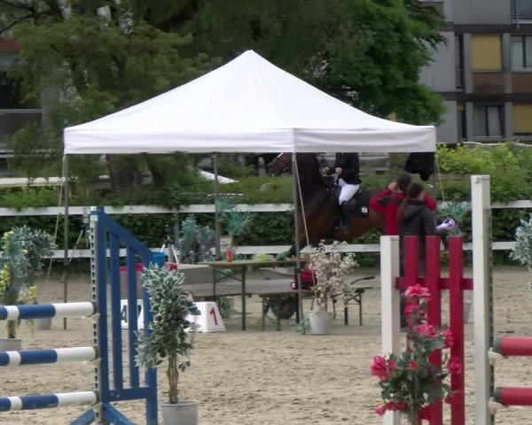 Reitturnier Stadt Bregenz 2024