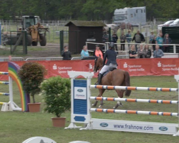 Reitturnier Cottbus-Sielow 2024