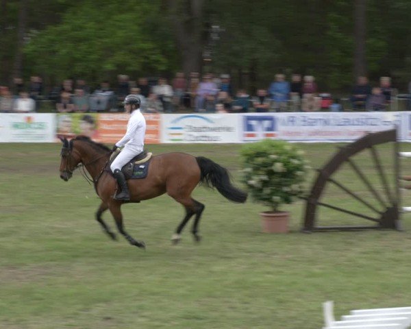 Reitturnier Cottbus-Sielow 2024