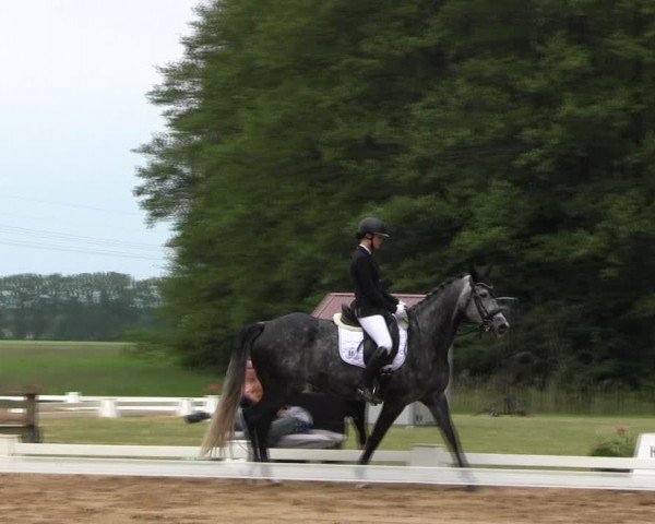 Reitturnier Horka 2024