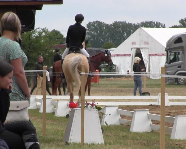 Reitturnier Horka 2024