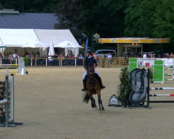 Reitturnier Borken 2024