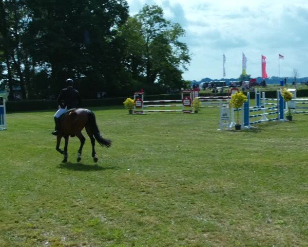 Reitturnier Wustrow 2024