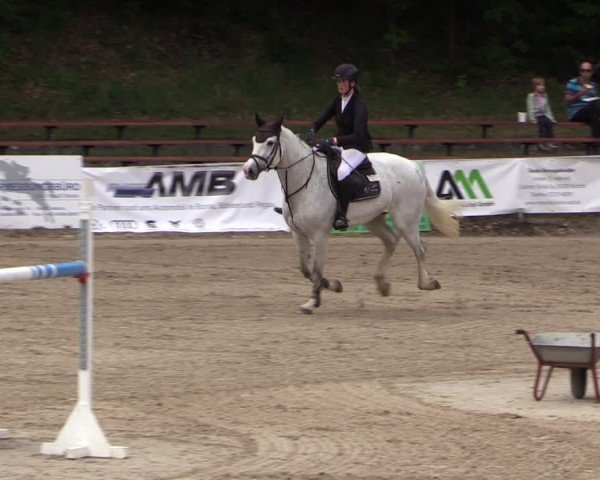 Reitturnier Lgl.-Oberhain, B95 2024