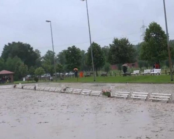 Reit- und Springturnier Münster-Roxel 2012