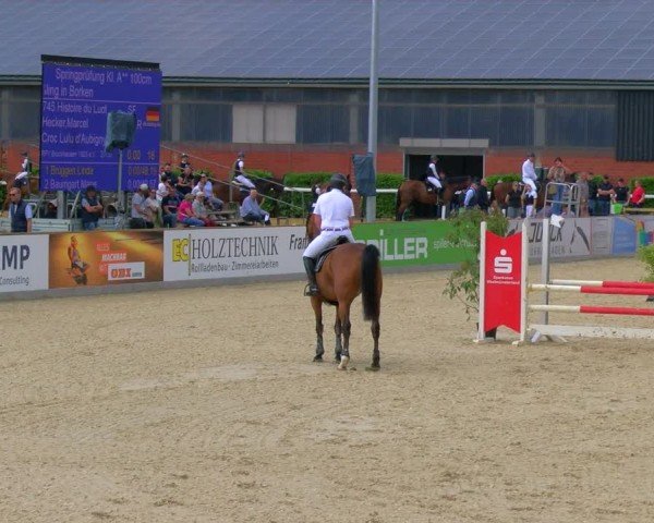 Reitturnier Borken 2024