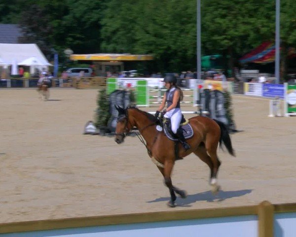 Reitturnier Borken 2024