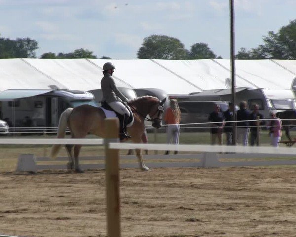 Reitturnier Horka 2024