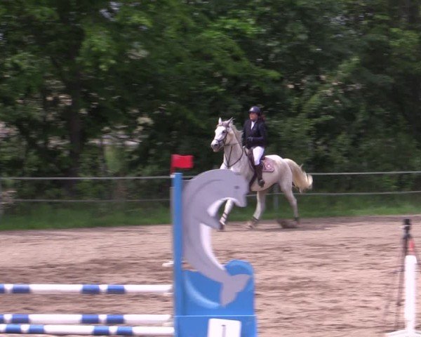 Reitturnier Lgl.-Oberhain, B95 2024