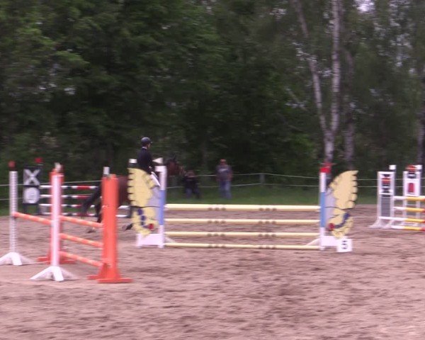 Reitturnier Lgl.-Oberhain, B95 2024