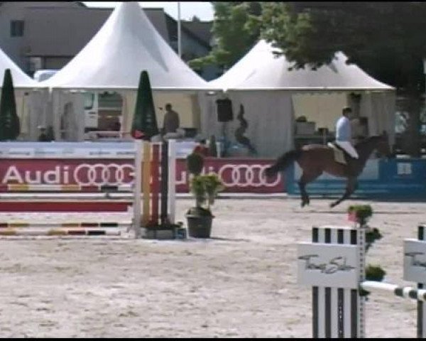Reitertage Hagau 2012